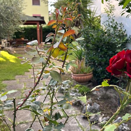La Casa Di Gemma B&B Villa Vomano Dış mekan fotoğraf